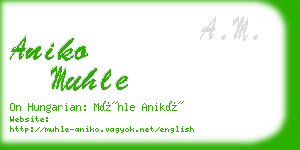 aniko muhle business card